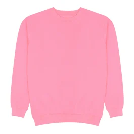 Pink Sweatshirt